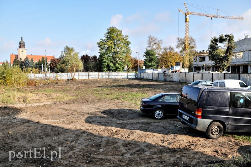 Elbląg, Część działki już została uporządkowana