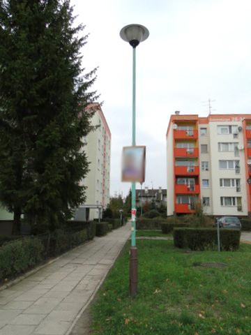 Elbląg, Niedługo wybierzemy Elbląg, Niedługo wybierzemy