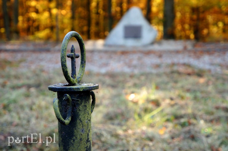Elbląg, Wśród drzew ukryty jest obelisk i symbolicznie oznaczone mogiły jeńców KL Stutthof Elbląg, Wśród drzew ukryty jest obelisk i symbolicznie oznaczone mogiły jeńców KL Stutthof