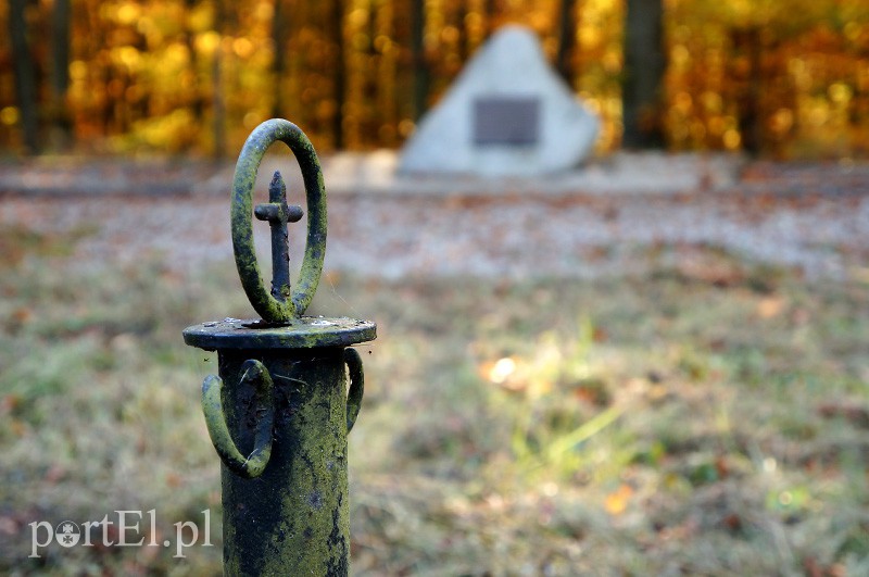 Elbląg, Wśród drzew ukryty jest obelisk i symbolicznie oznaczone mogiły jeńców KL Stutthof