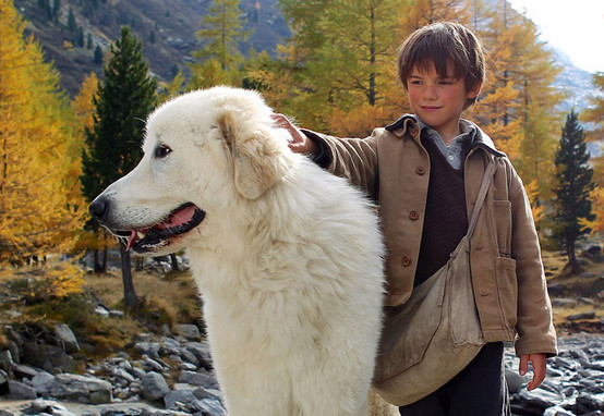 Elbląg, materiały prasowe dystrybutora