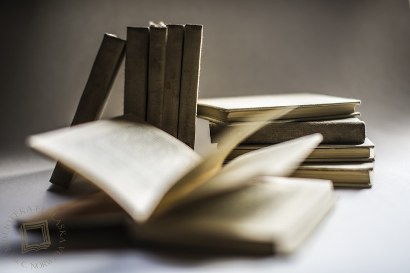 Elbląg, Lirycznie w Filii nr 3