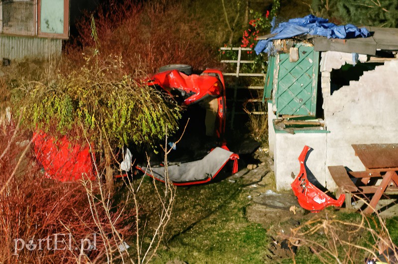 Elbląg, Fiestą wlecieli do ogródka działkowego