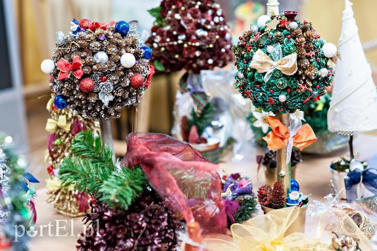 Elbląg, Te piękne drzewka świąteczne czekają na swoich właścicieli Elbląg, Te piękne drzewka świąteczne czekają na swoich właścicieli