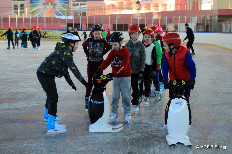 Elbląg, Pingwiny pomogą w nauce jazdy na łyżwach