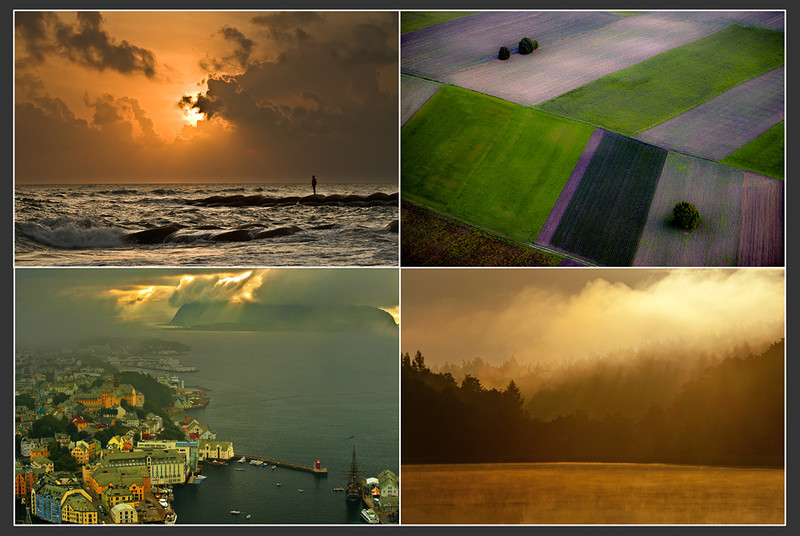 Elbląg, Rusza Galeria Elbląska