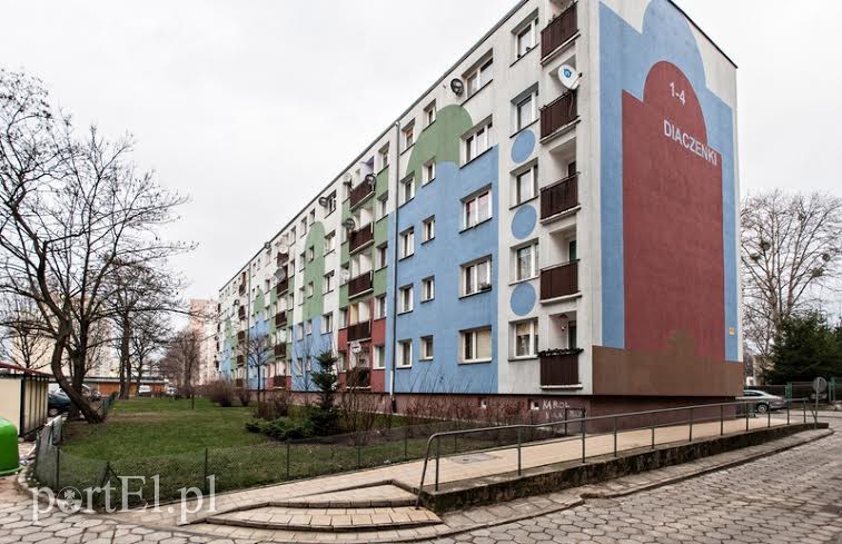 Elbląg, Miłośnicy kotów chcieliby, żeby budka stanęła na tym trawniku. Nie zgodziło się na to 15 mieszkańców, ośmiu było za Elbląg, Miłośnicy kotów chcieliby, żeby budka stanęła na tym trawniku. Nie zgodziło się na to 15 mieszkańców, ośmiu było za