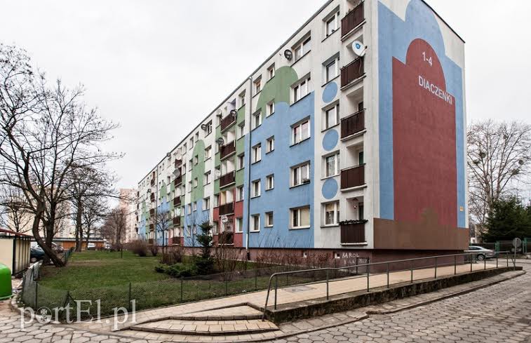 Elbląg, Miłośnicy kotów chcieliby, żeby budka stanęła na tym trawniku. Nie zgodziło się na to 15 mieszkańców, ośmiu było za