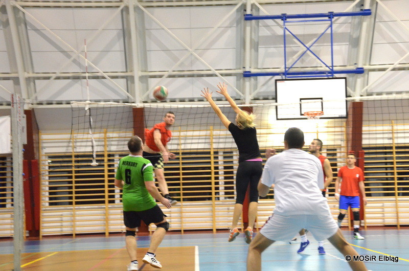 Elbląg, Awangarda Volley Liga po pierwszej rundzie Elbląg, Awangarda Volley Liga po pierwszej rundzie