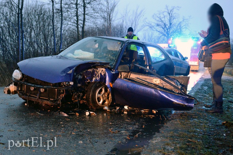 Elbląg, Mazurska: coltem uderzyła w drzewo Elbląg, Mazurska: coltem uderzyła w drzewo
