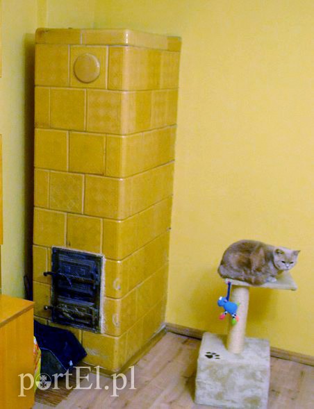 Elbląg, Należy pamiętać o prawidłowym użytkowaniu pieców Elbląg, Należy pamiętać o prawidłowym użytkowaniu pieców