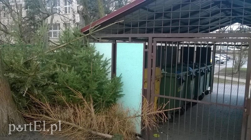 Elbląg, Śmietniki pełne choinek