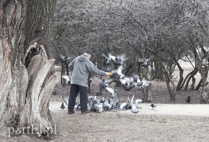 Elbląg, zdjęcie z konkursu FotoreportEl, Elbląg, zdjęcie z konkursu FotoreportEl,