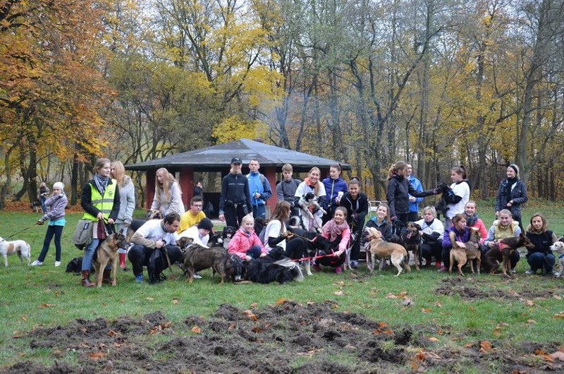 Elbląg, Uczestnicy biegu podczas ostatniej edycji akcji