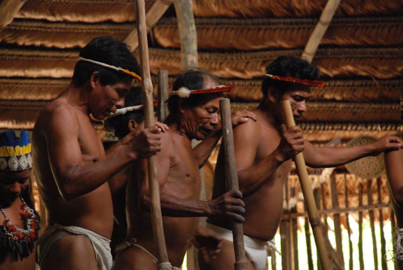 Elbląg, Bora, Indianie Amazonii - ludzie dwóch światów