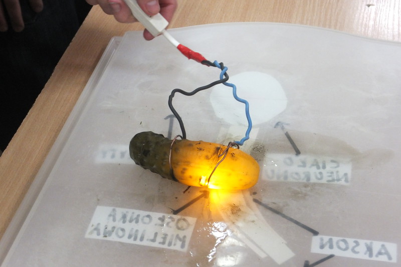 Elbląg, To była niesamowita noc naukowców Elbląg, To była niesamowita noc naukowców