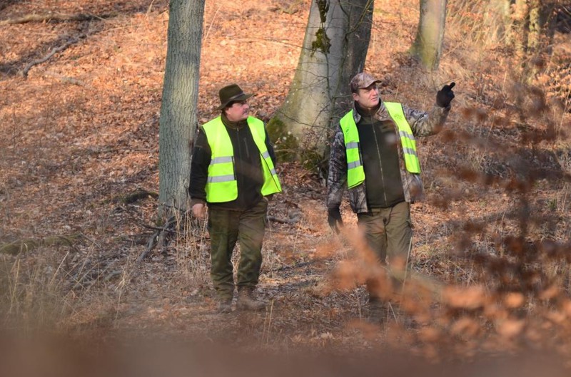 Elbląg, Wielkie liczenie zwierząt Elbląg, Wielkie liczenie zwierząt