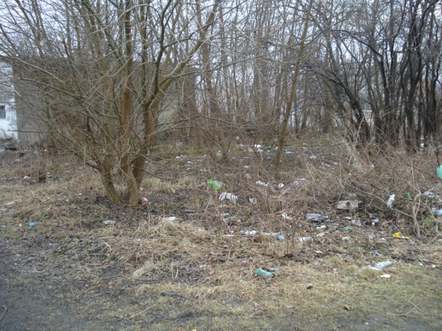 Elbląg, Właściciel tego terenu otrzymał zobowiązanie od Straży Miejskiej do uprzątnięcia śmieci,