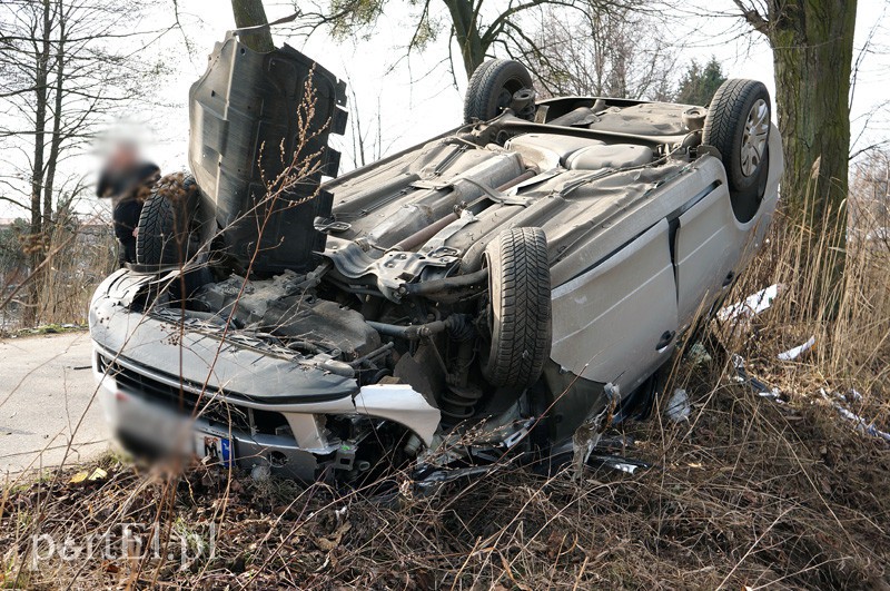 Elbląg, Dachowanie w Nowakowie