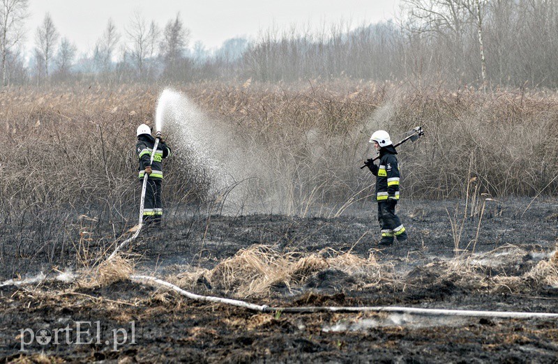Elbląg, Groźny pożar traw