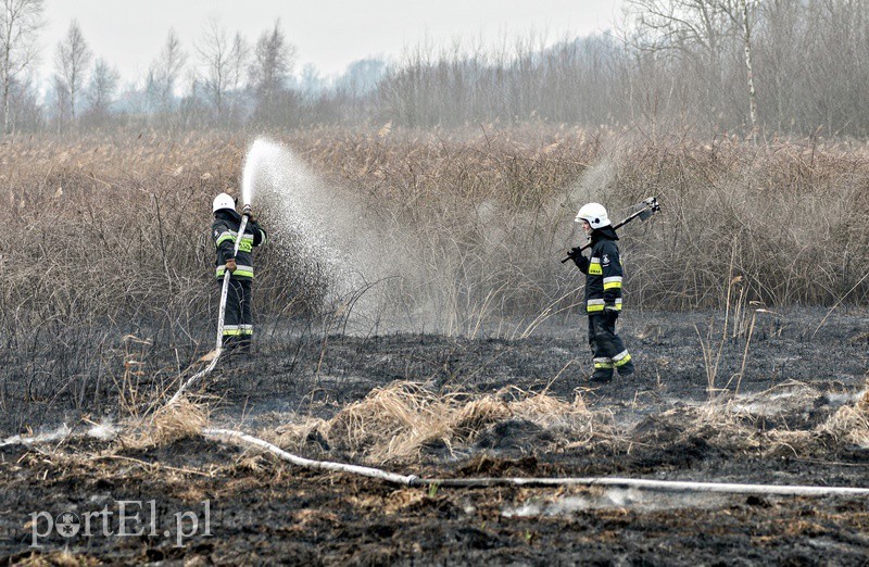 Elbląg, Groźny pożar traw