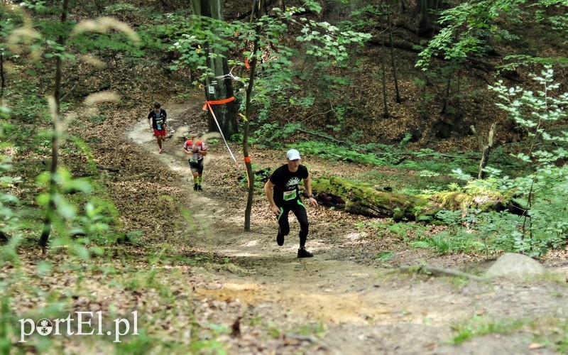 Elbląg, 8 marca wystartuj w leśnym półmaratonie