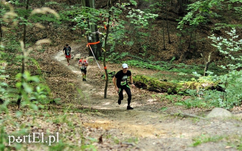 Elbląg, 8 marca wystartuj w leśnym półmaratonie