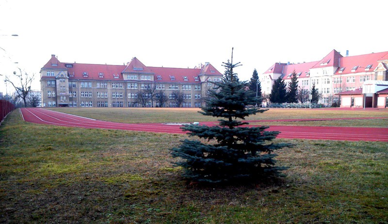 Elbląg, Jaka jest przyszłość szkolnictwa w Elblągu? Elbląg, Jaka jest przyszłość szkolnictwa w Elblągu?