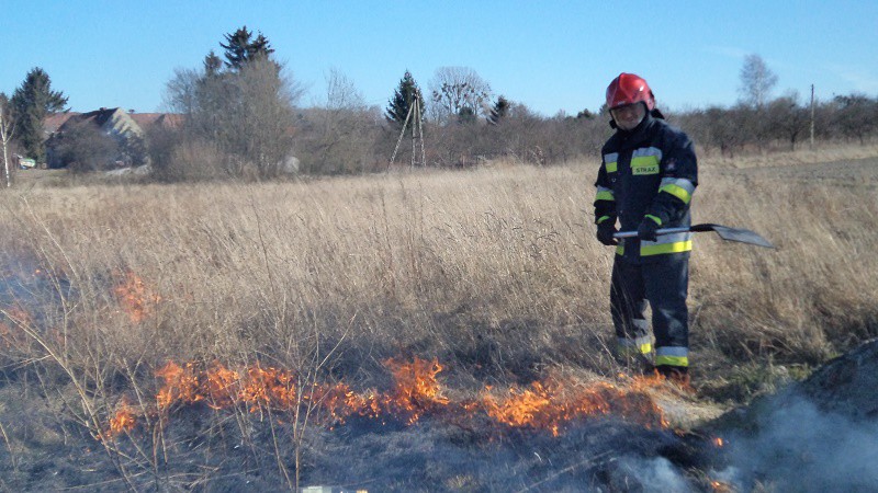 Elbląg, Groźny pożar traw na przedmieściach