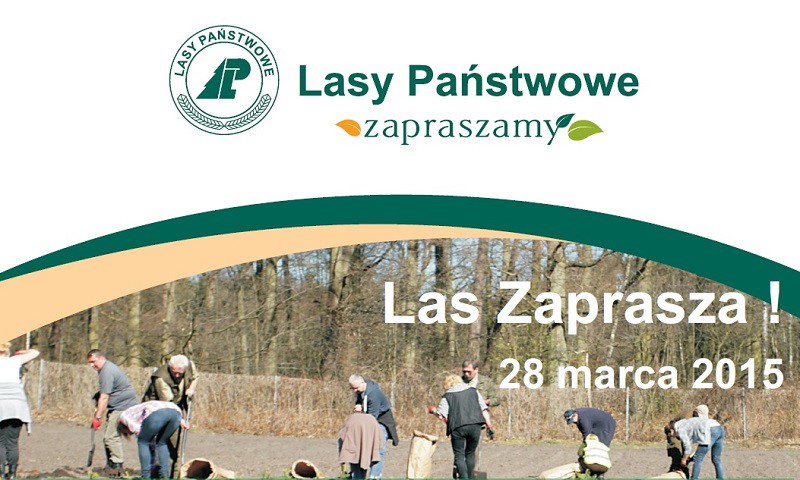 Elbląg, Las zaprasza!