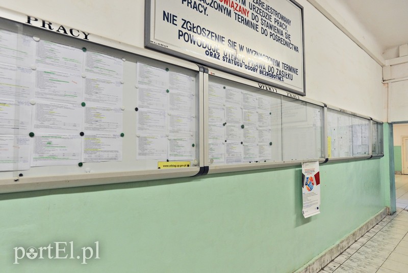 Elbląg, Sprawdź aktualne   oferty pracy PUP
