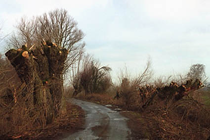 Elbląg, Sytuacja jest zła