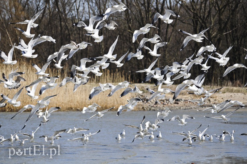 Sieć Natura 2000. Bezpłatne szkolenie w Kadynach
