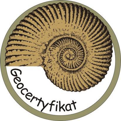 Elbląg, Geocertyfikat dla ZSO nr 2