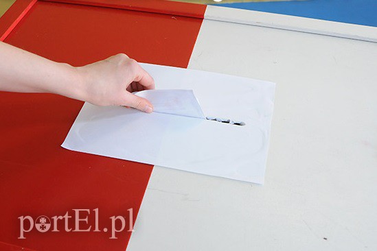 Elbląg, Kim jest i co może mąż zaufania Elbląg, Kim jest i co może mąż zaufania