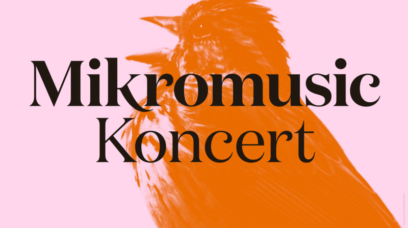 Elbląg, Mikromusic zagra w Mjazzdze