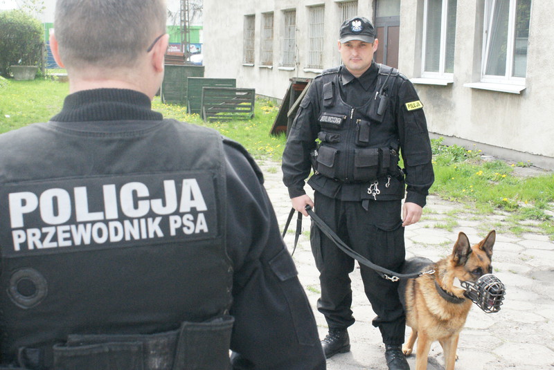 Elbląg, mł. asp. Mariusz Krężel z jednym ze swoich psów służbowych. Na zdjęciu pies patrolowo-tropiącym o imieniu Kazan, Elbląg, mł. asp. Mariusz Krężel z jednym ze swoich psów służbowych. Na zdjęciu pies patrolowo-tropiącym o imieniu Kazan,