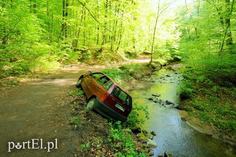 Elbląg, Punto utknęło w Bażantarni Elbląg, Punto utknęło w Bażantarni