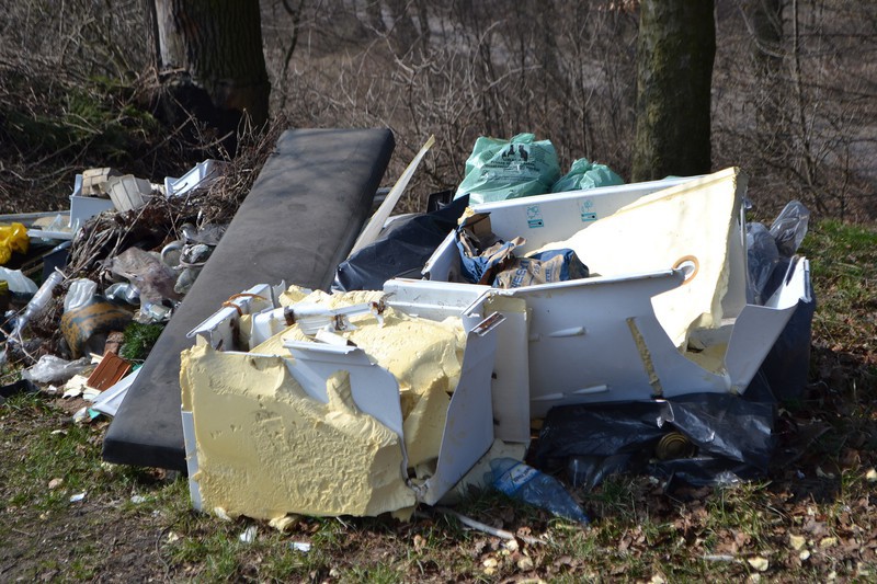 Elbląg, Brak pojemników na nieczystości w dalszym ciągu zmorą miasta