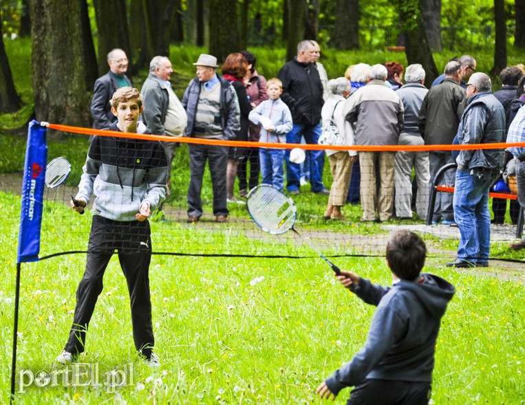 Elbląg, Chcą ożywić park Modrzewie