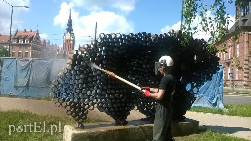 Elbląg, Przyszła kolej na żubra