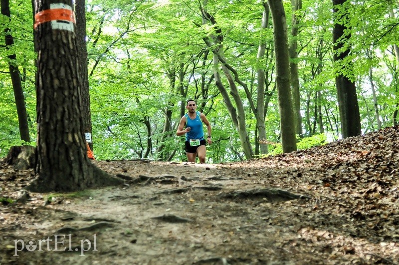 Elbląg, Będą biegać w sztafecie przez 24 godziny