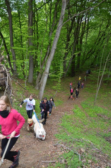 Elbląg, Pobiegną po raz dziewiąty Elbląg, Pobiegną po raz dziewiąty