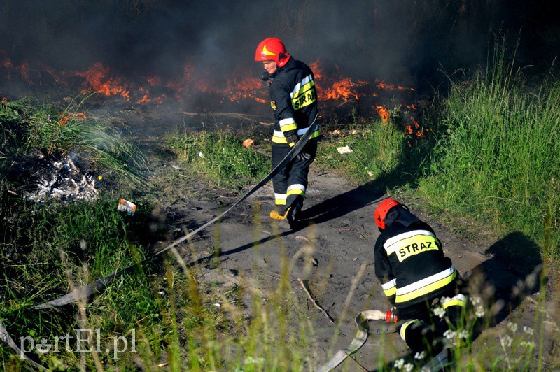 Elbląg, Pożar dzikiego wysypiska