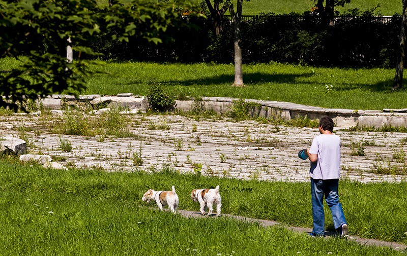 Elbląg, Psi park powstanie w miejscu, gdzie znajduje się mała niecka basenu odkrytego Elbląg, Psi park powstanie w miejscu, gdzie znajduje się mała niecka basenu odkrytego