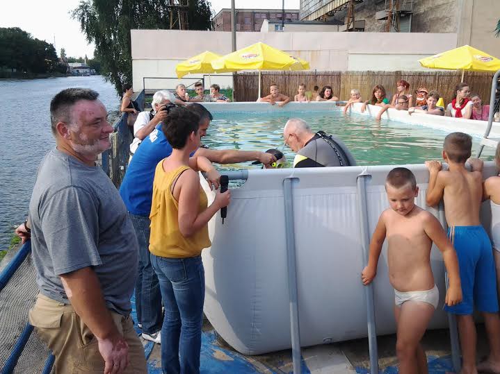 Elbląg, Zanurkuj już w najbliższą niedzielę! Elbląg, Zanurkuj już w najbliższą niedzielę!