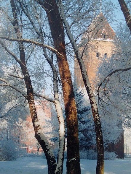 Elbląg, Wystawa „Moje miasto Elbląg – lata 90.”