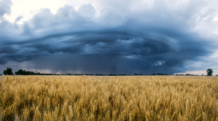 Elbląg, Fotografia pochodzi z konkursu "Fotka Miesiąca"