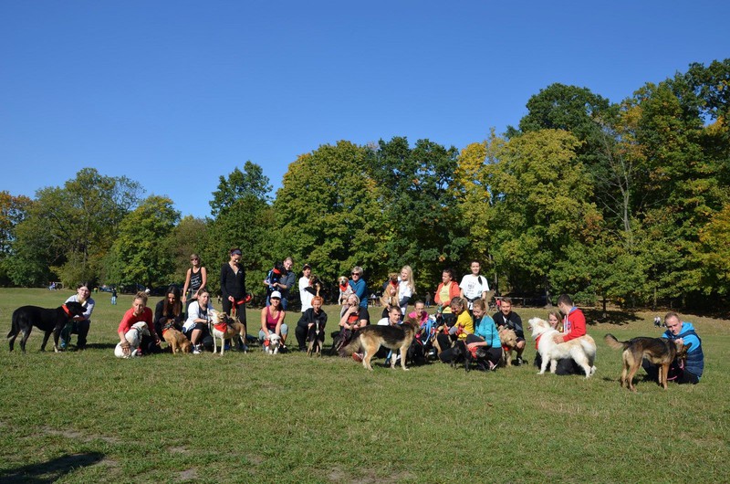 Elbląg, Po wakacyjnej przerwie znów pobiegną na Sześć Łap