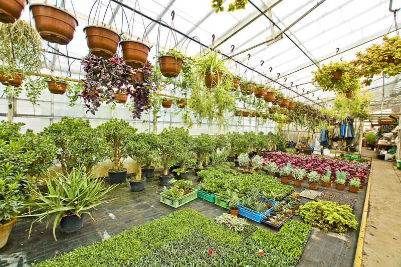 To one poprawiają komfort życia